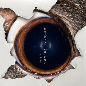 少妇性饥渴videos海角社区
